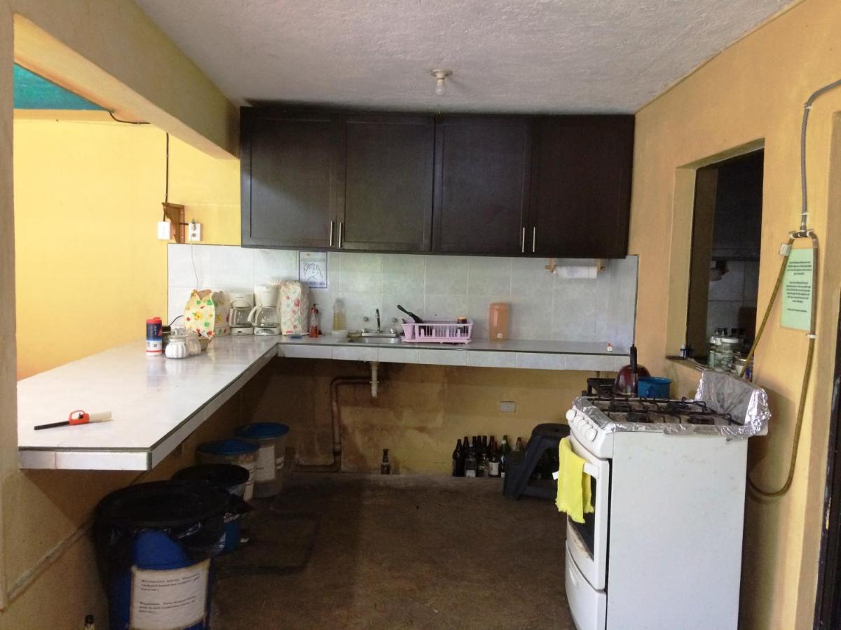 Amigos Hostel Cozumel Kültér fotó
