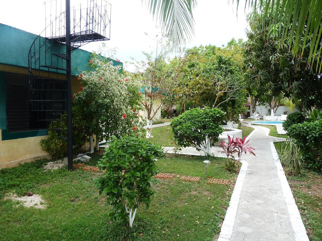 Amigos Hostel Cozumel Kültér fotó