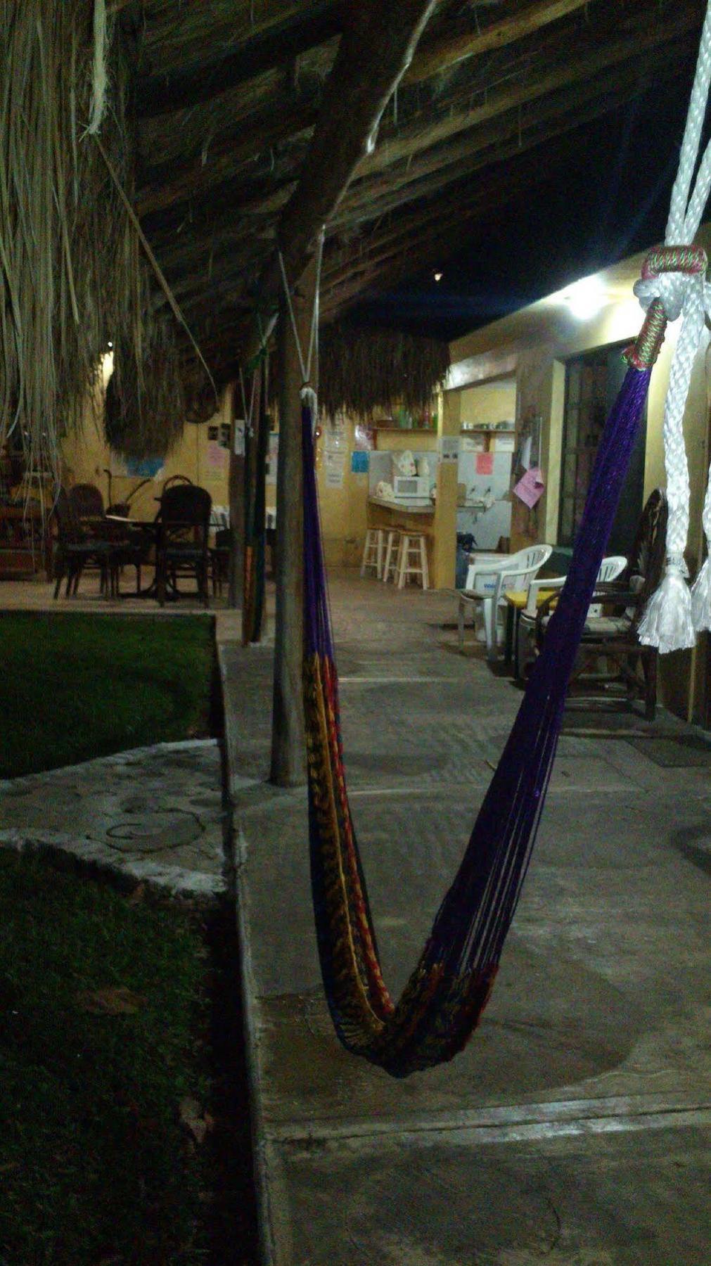 Amigos Hostel Cozumel Kültér fotó