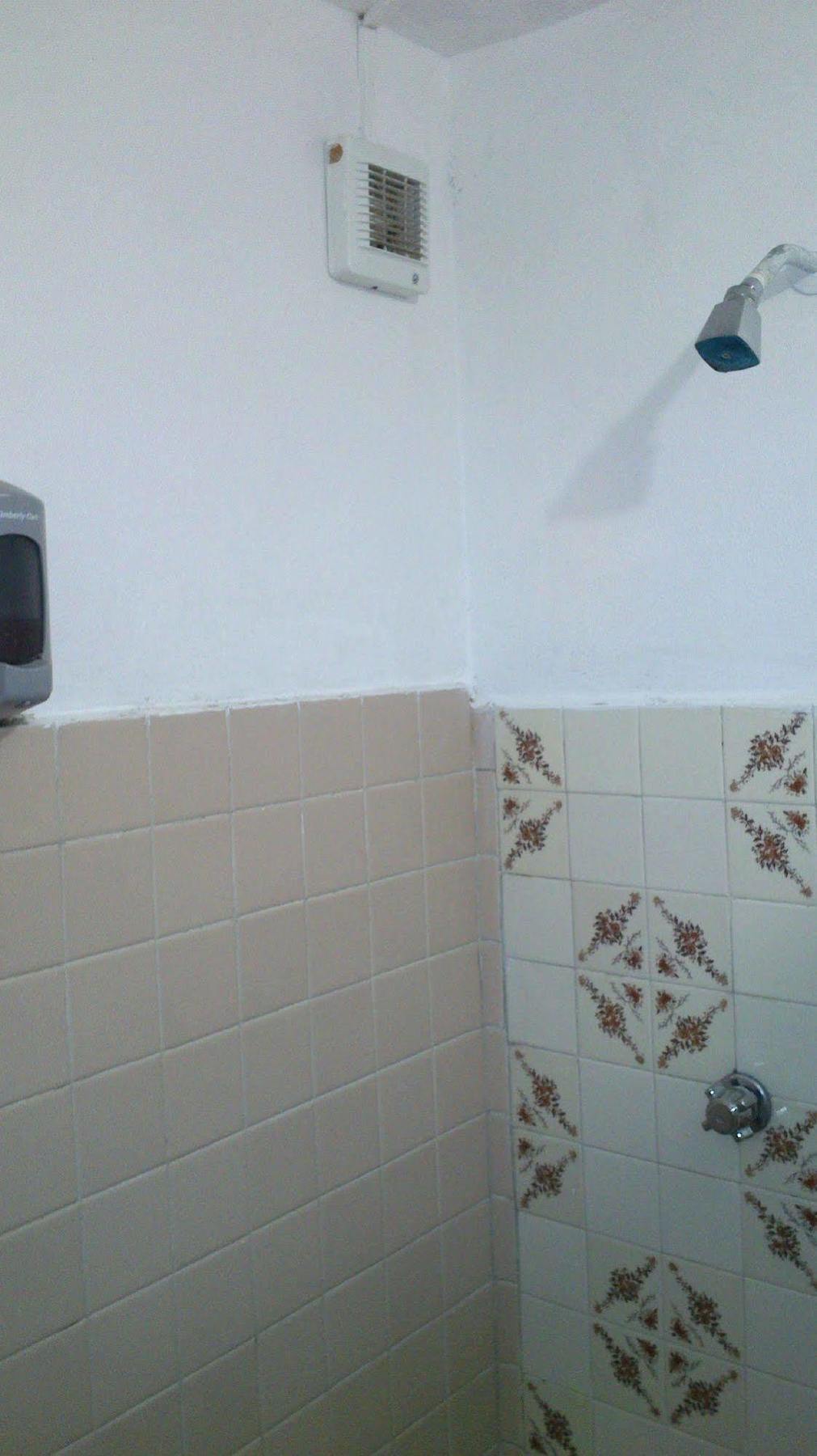 Amigos Hostel Cozumel Kültér fotó