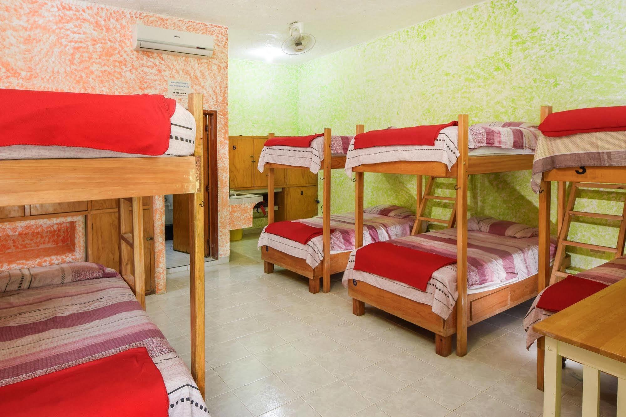 Amigos Hostel Cozumel Hostel ágyak fotó