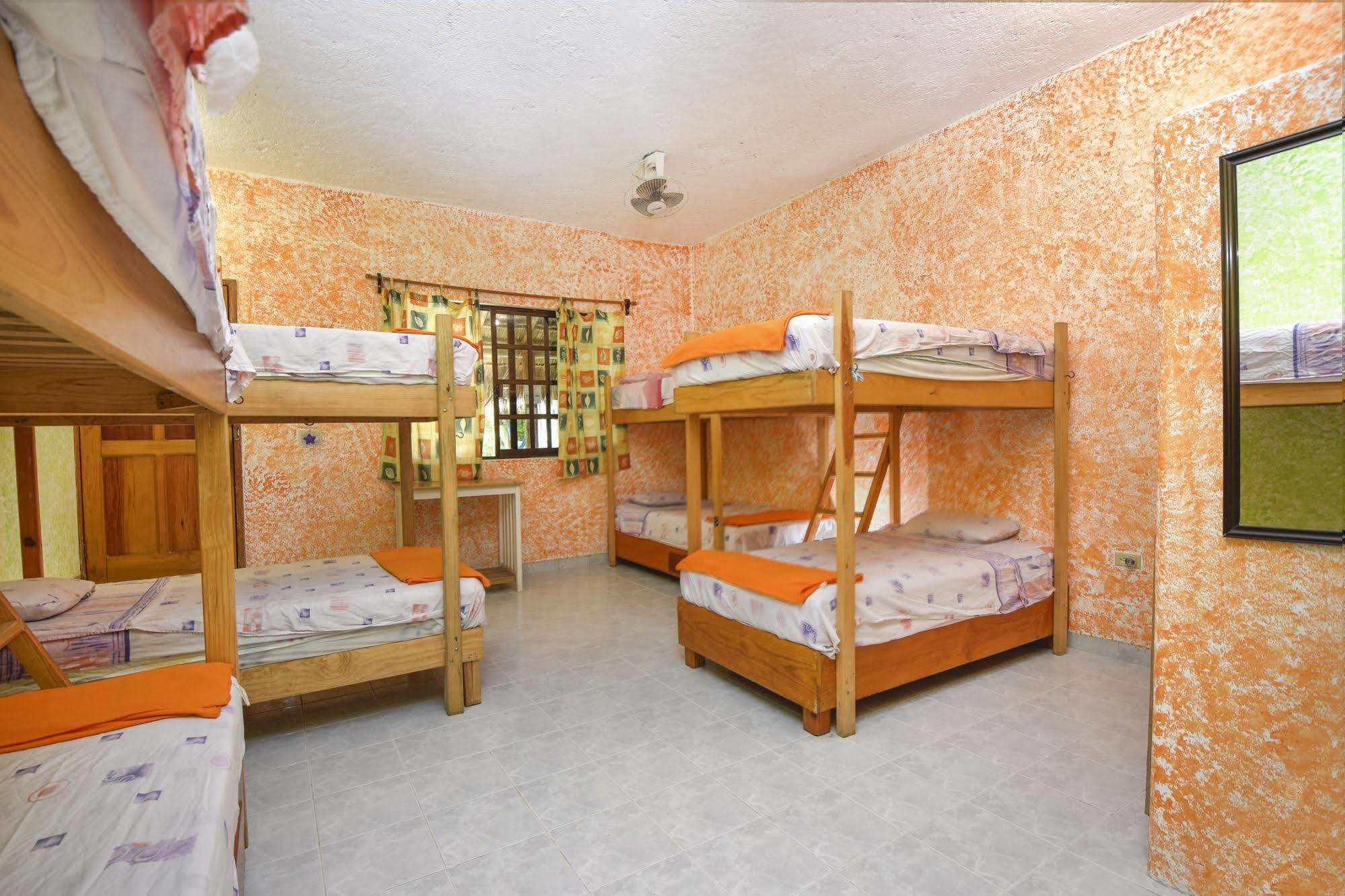 Amigos Hostel Cozumel Kültér fotó