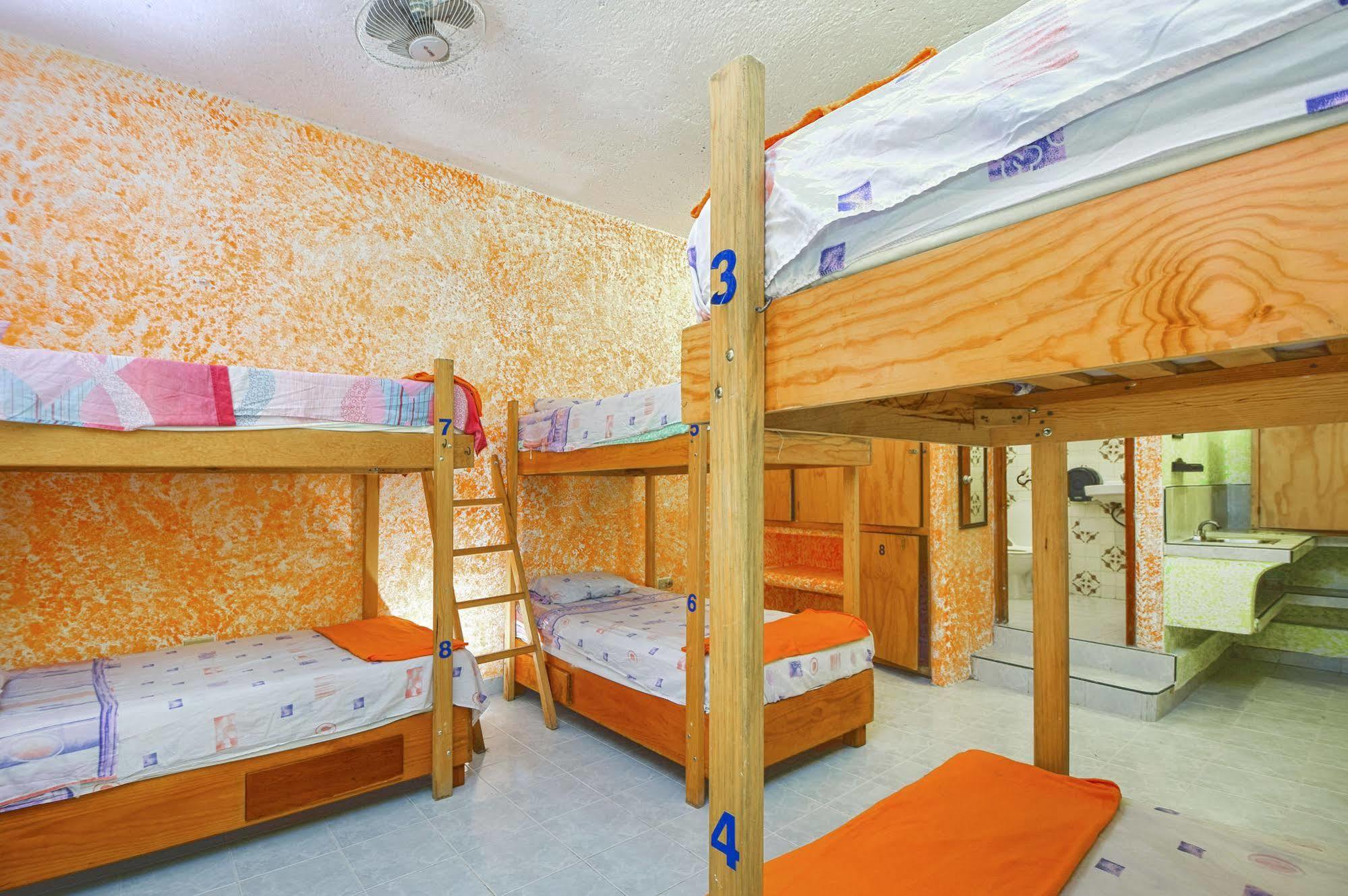 Amigos Hostel Cozumel Kültér fotó